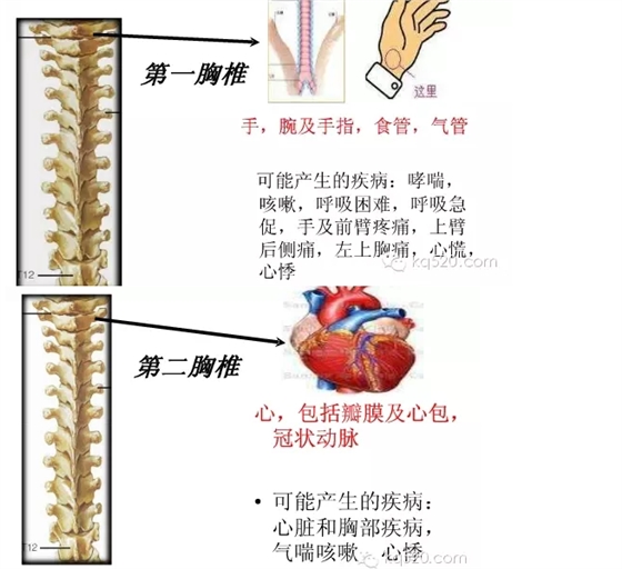 QQ图片20150710164809.png