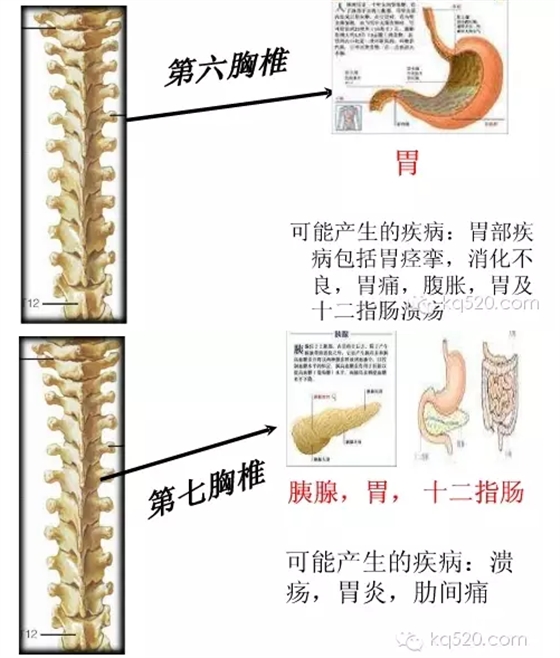 QQ图片20150710164907.png