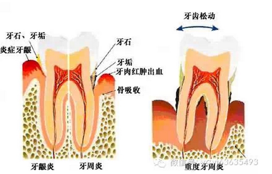 QQ图片20150720150524.png