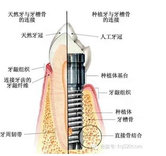 QQ图片20150721100239.png