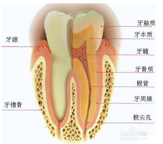 QQ图片20150721164958.png