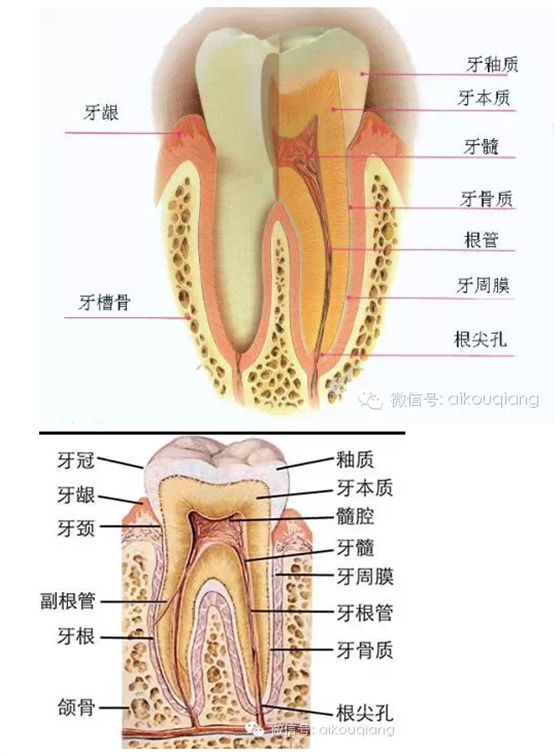 QQ图片20150724115201.png