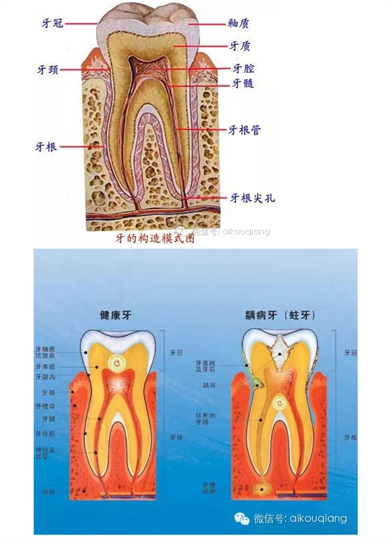 QQ图片20150724115220.png