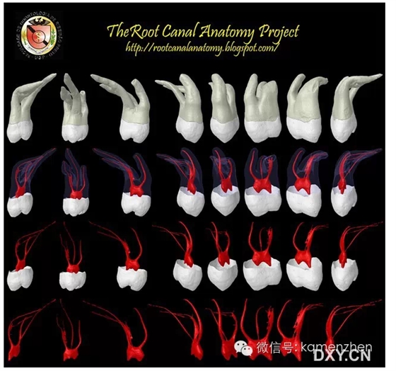 QQ图片20150725102114.png