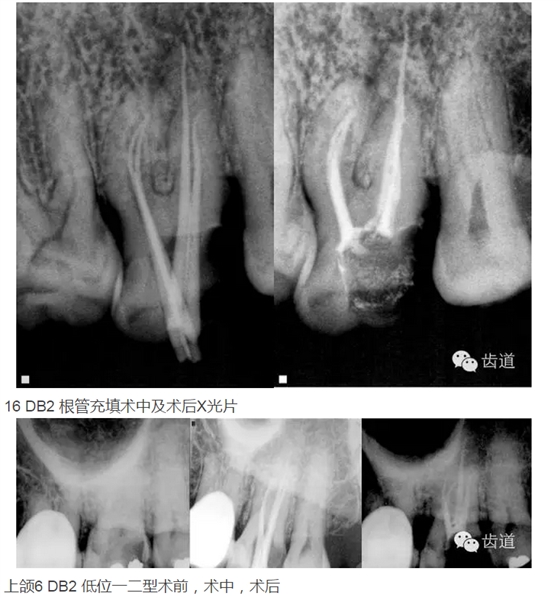 QQ图片20150804153200.png