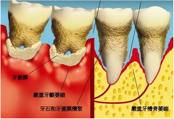 QQ图片20150808110201.png