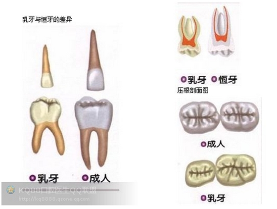 QQ图片20150808110526.png