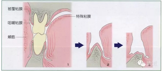 QQ图片20150808151228.png