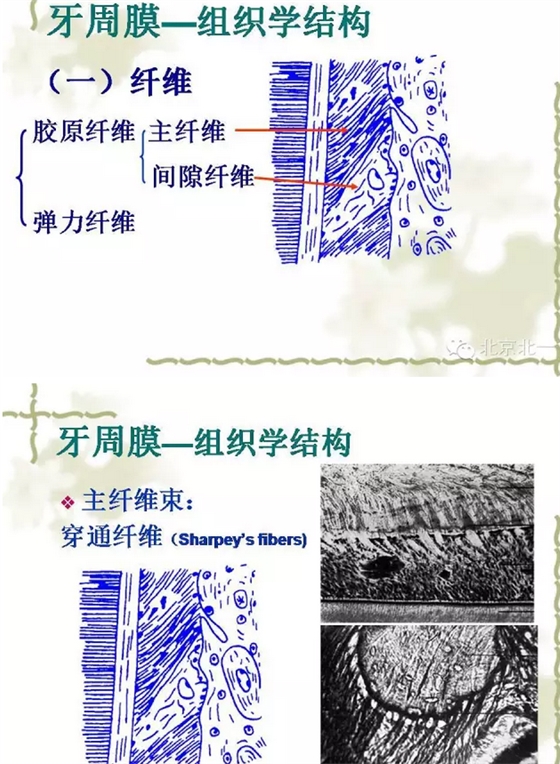 QQ图片20150814101759.png