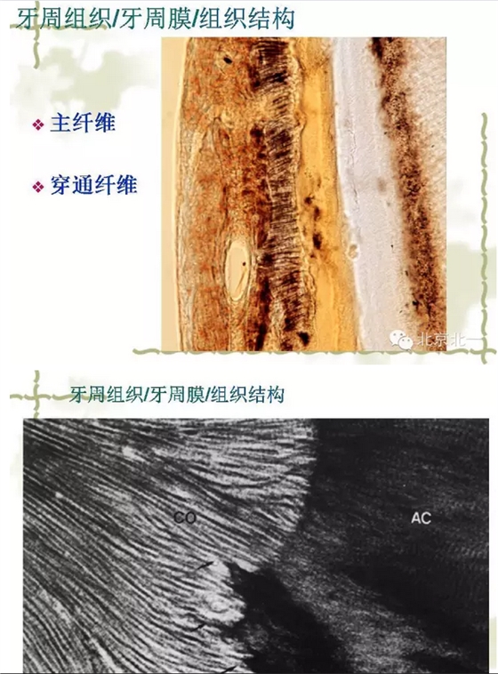 QQ图片20150814101814.png