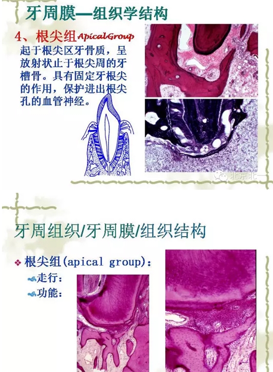 QQ图片20150814102004.png