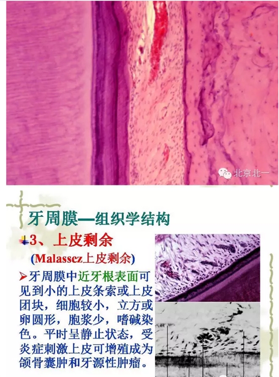 QQ图片20150814102114.png