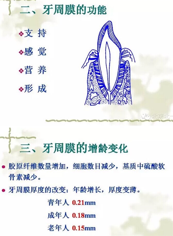 QQ图片20150814102238.jpg