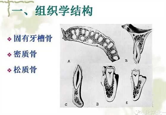 QQ图片20150814102311.jpg