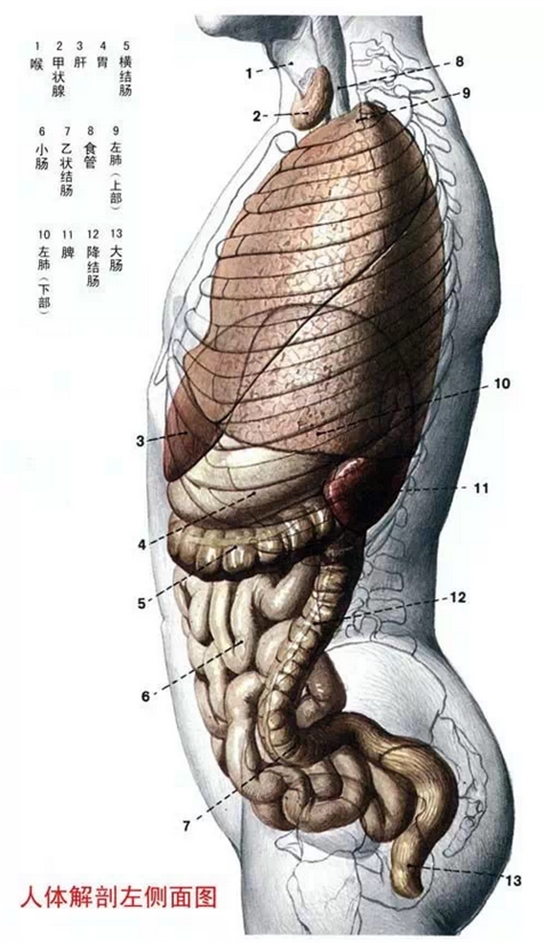 QQ图片20150815170004.png