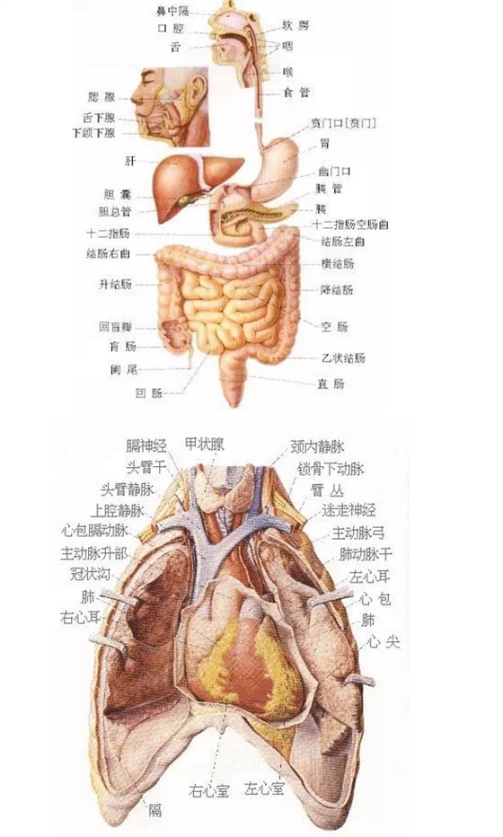 QQ图片20150815170015.png