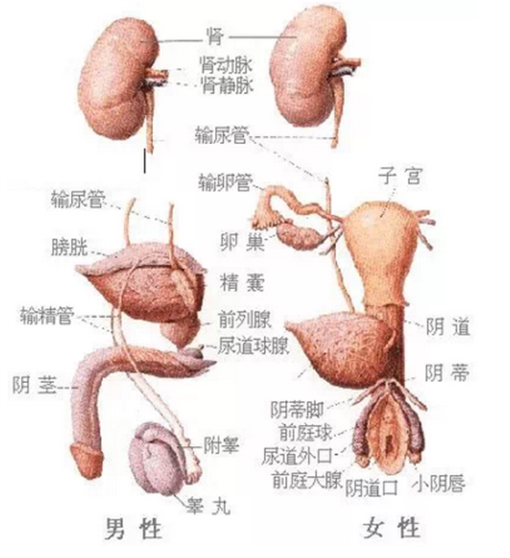 QQ图片20150815170253.png