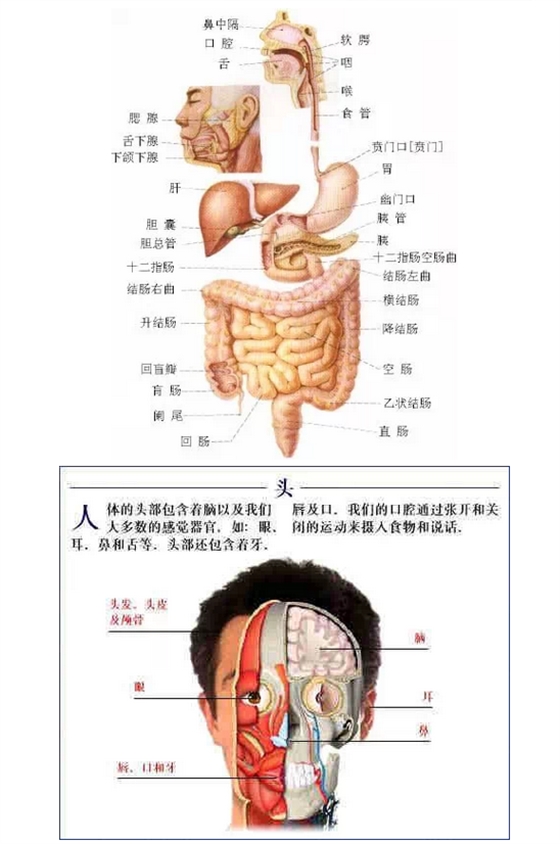 QQ图片20150815170458.png