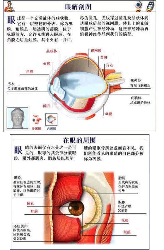 QQ图片20150815170652.png