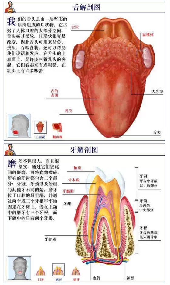 QQ图片20150815170746.png