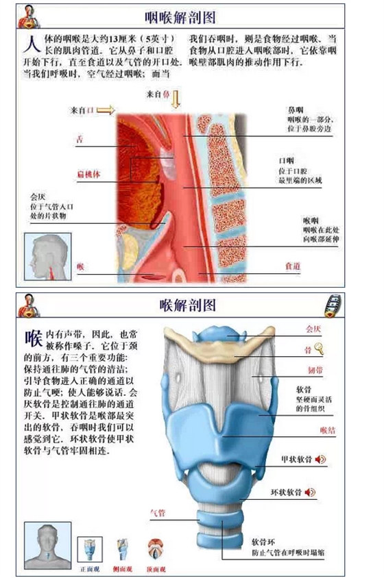 QQ图片20150815170758.png