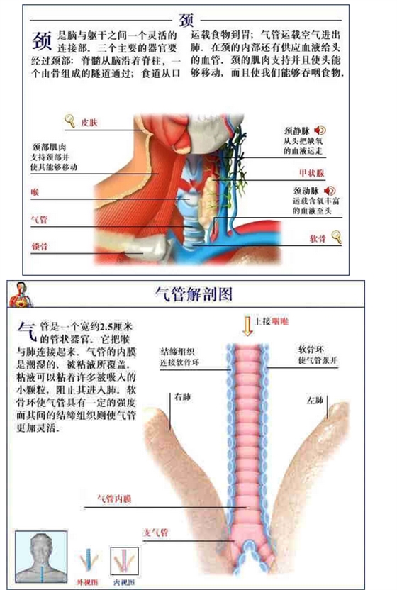 QQ图片20150815170822.png