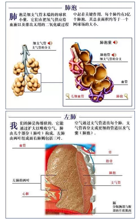 QQ图片20150815170844.png