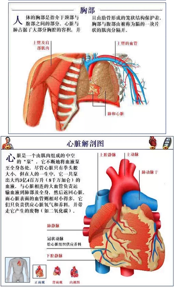 QQ图片20150815170855.png