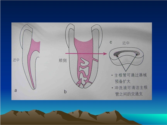 QQ图片20150818154704.png