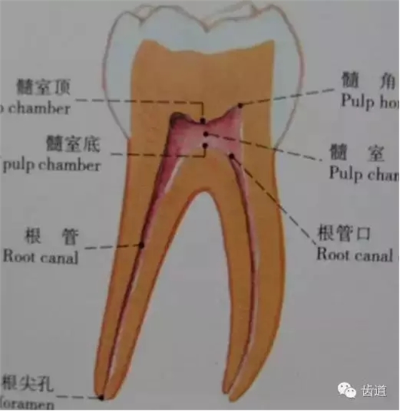 QQ图片20150820144312.png