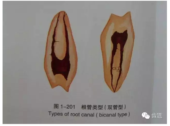 QQ图片20150820144557.png