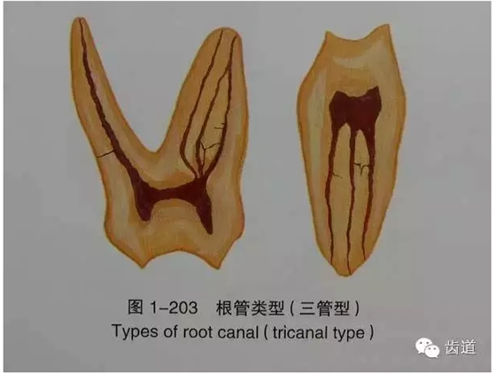 QQ图片20150820144620.png