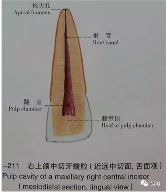 QQ图片20150820144855.png