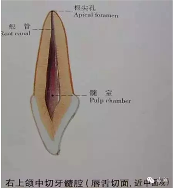 QQ图片20150820144921.png