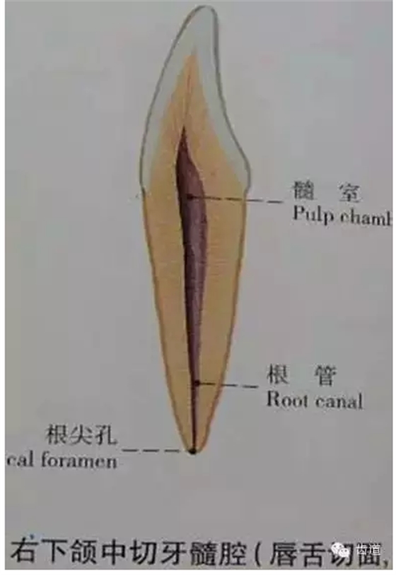 QQ图片20150820144954.png