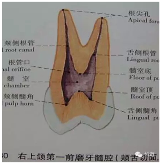 QQ图片20150820145402.png