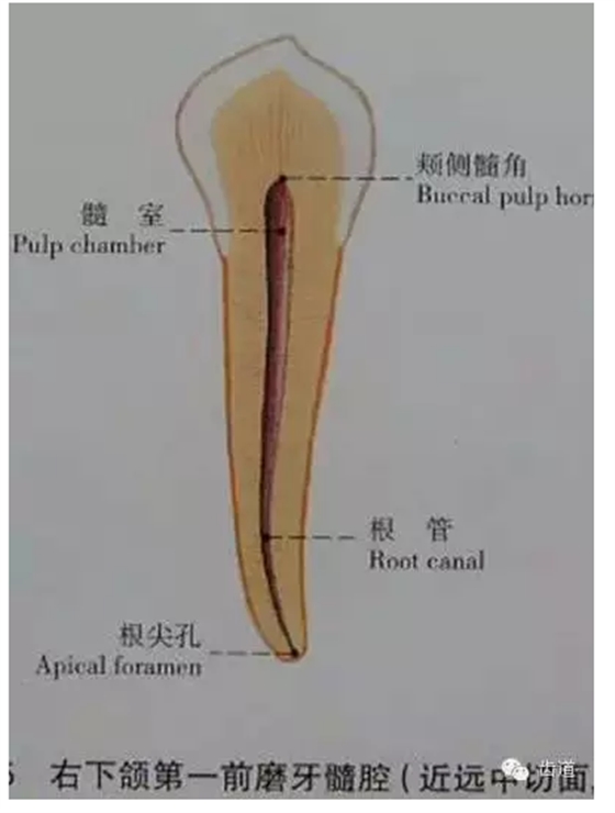 QQ图片20150820145504.png