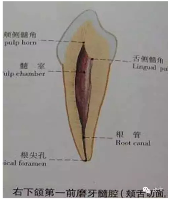 QQ图片20150820145515.png