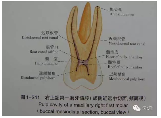 QQ图片20150820145808.png