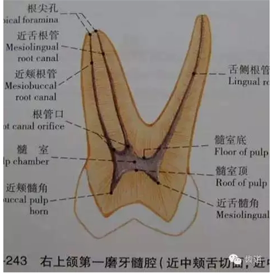 QQ图片20150820145819.png