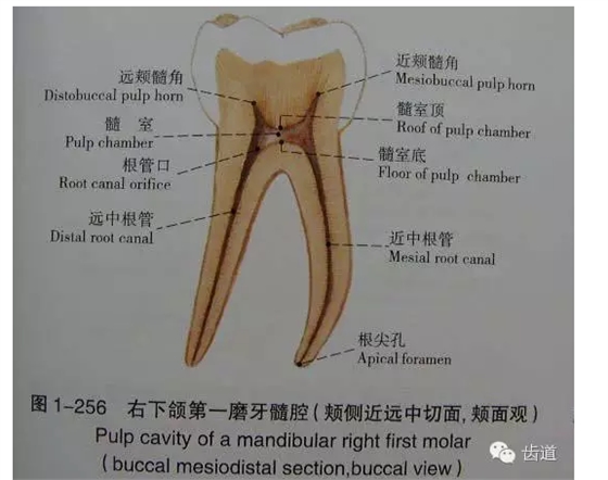 QQ图片20150820145840.png