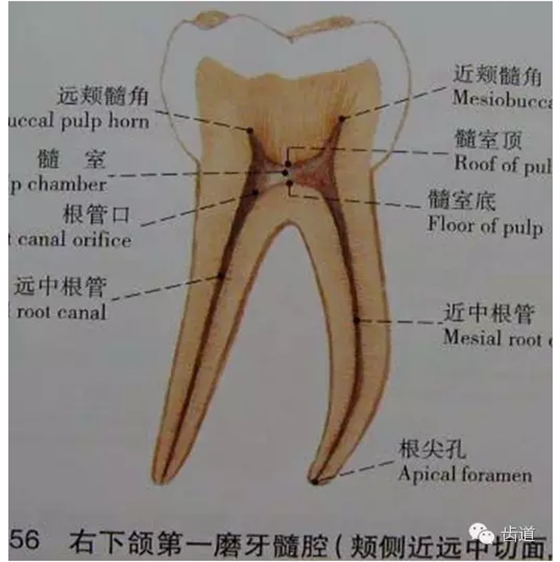 QQ图片20150820145851.png