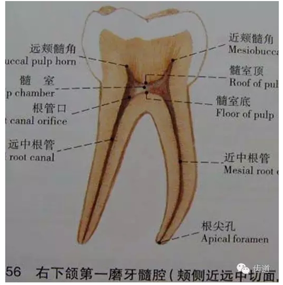 QQ图片20150820145902.png