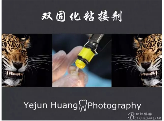 QQ图片20150824174651.png