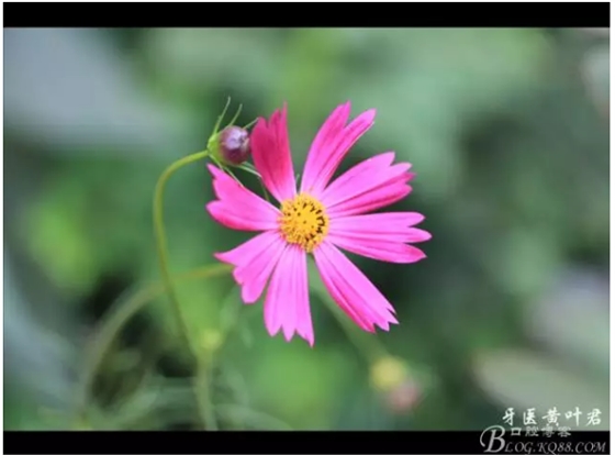 QQ图片20150824175003.png