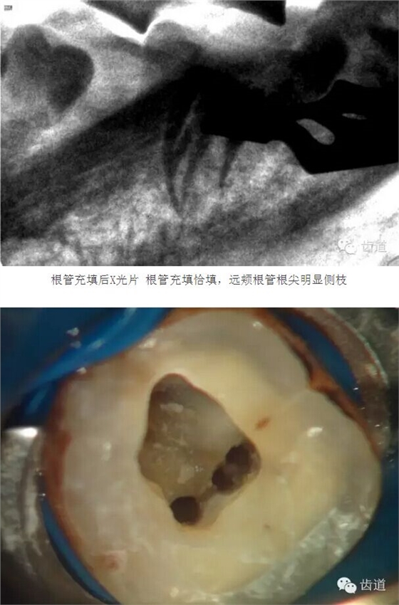 QQ图片20150825102504.jpg