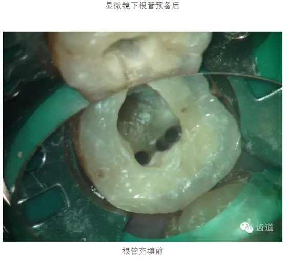 QQ图片20150825103113.png