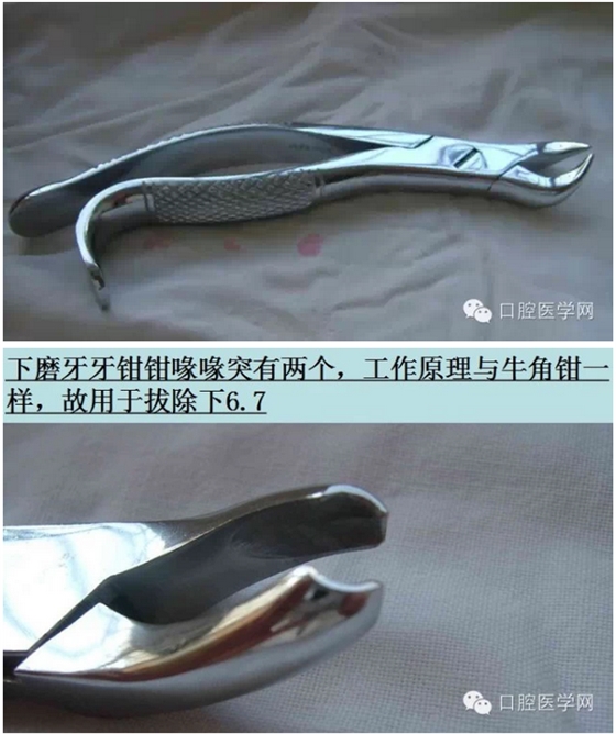 钳子、挺子、锤子......口外基础知识汇总