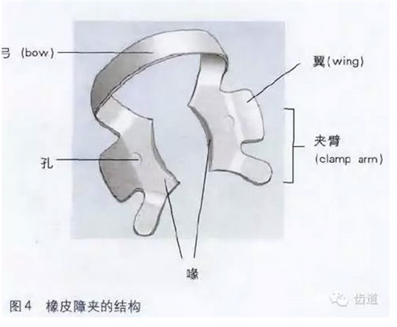 橡皮障的临床运用大全