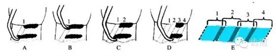 640 (1).webp (34).jpg